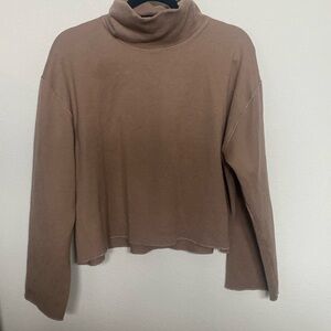 Zara Cropped Turtleneck